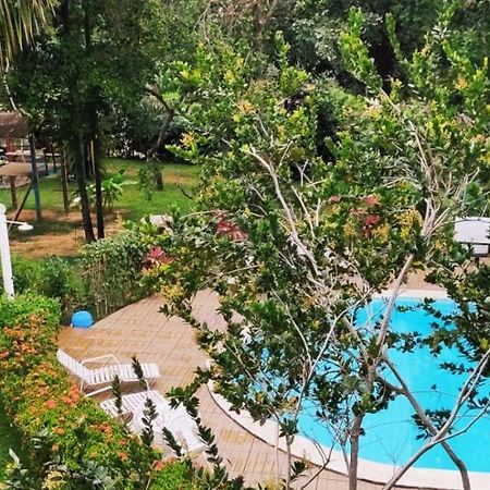 Pousada Ecogreen Imbassai ماتا دي ساو جواو المظهر الخارجي الصورة